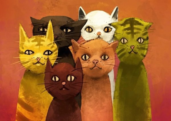 آرت پازل - تیم گربه‌ها
