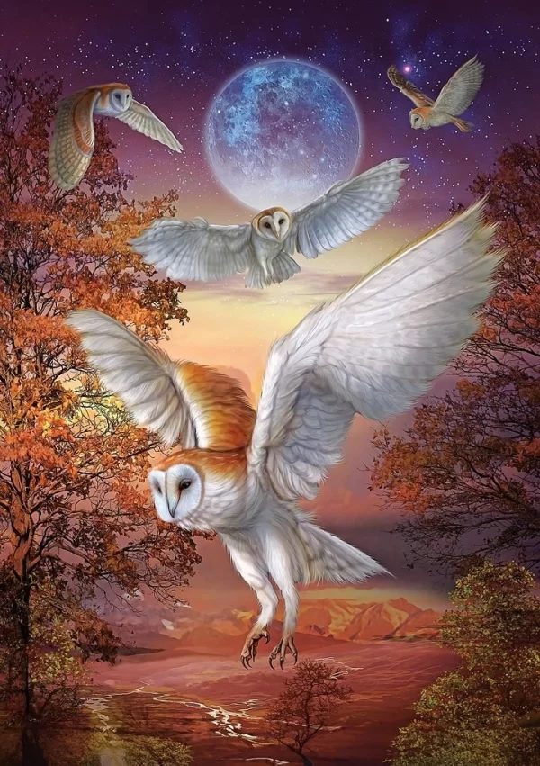 آرت پازل - جغدها در شب مهتابی